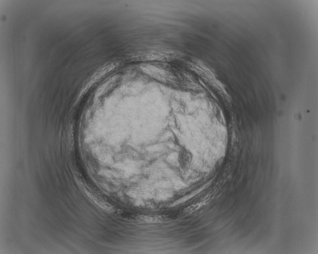 X0000083660250200703121819