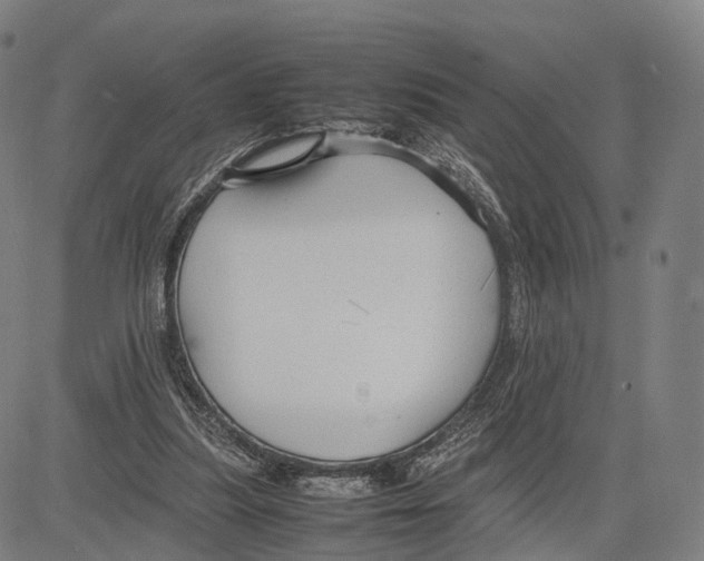 X0000083660251200703121819