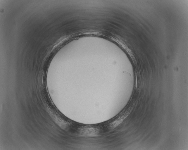 X0000083660253200703121819