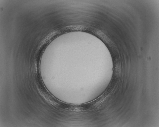 X0000083660254200703121819