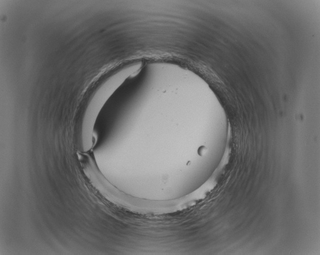 X0000083660256200703121819