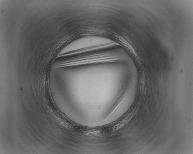 X0000083660257200703121819