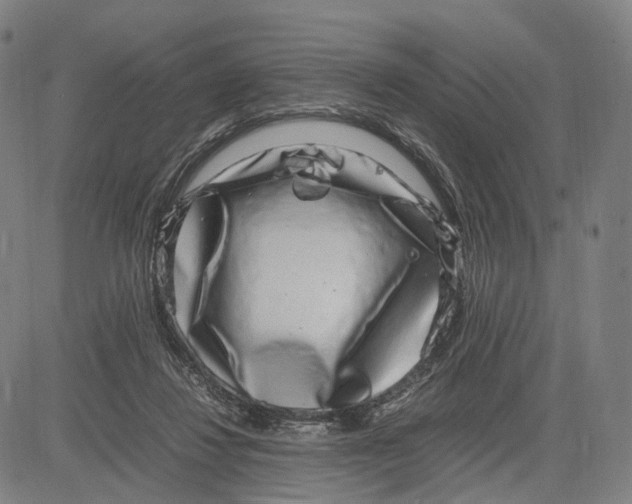 X0000083660260200703121819