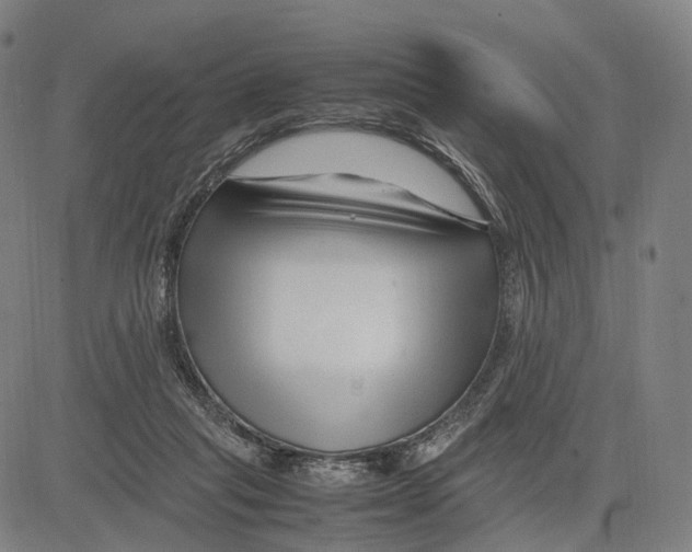 X0000083660261200703121819