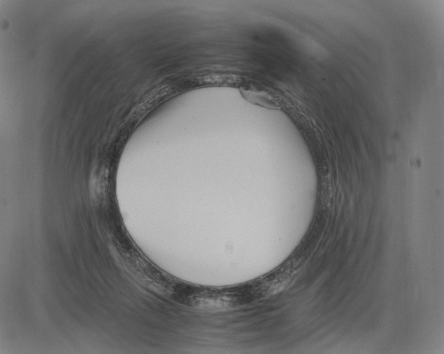 X0000083660263200703121819