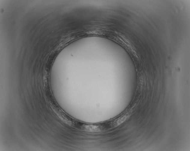 X0000083660265200703121819