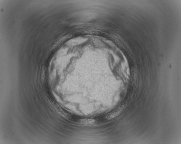 X0000083660266200703121819