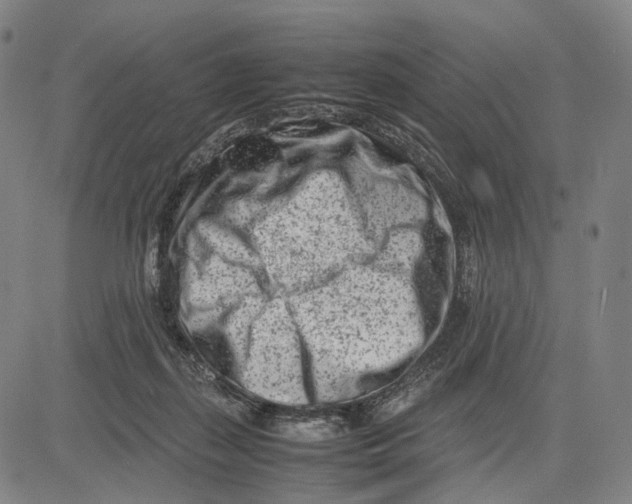 X0000083660267200703121819