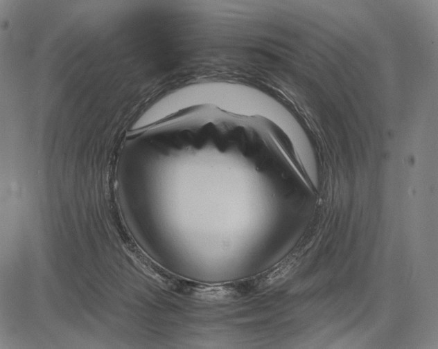 X0000083660269200703121819