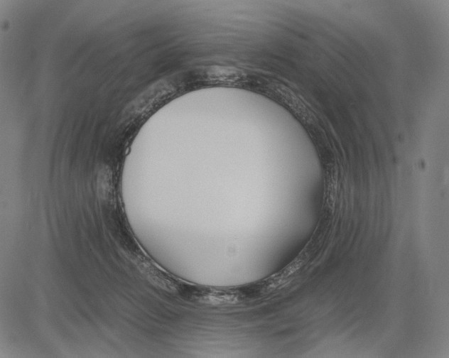 X0000083660270200703121819