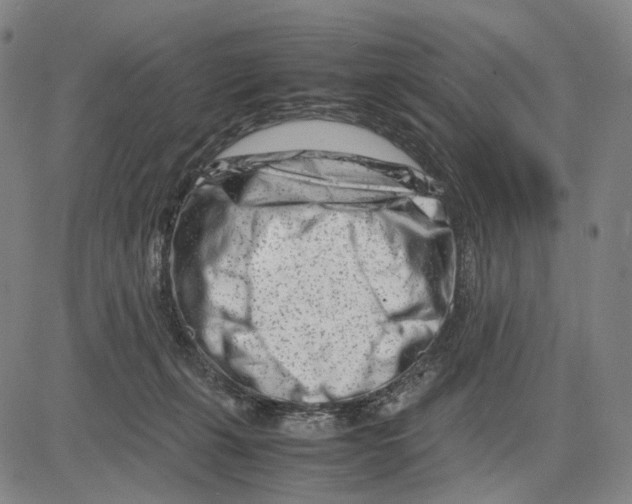 X0000083660271200703121819