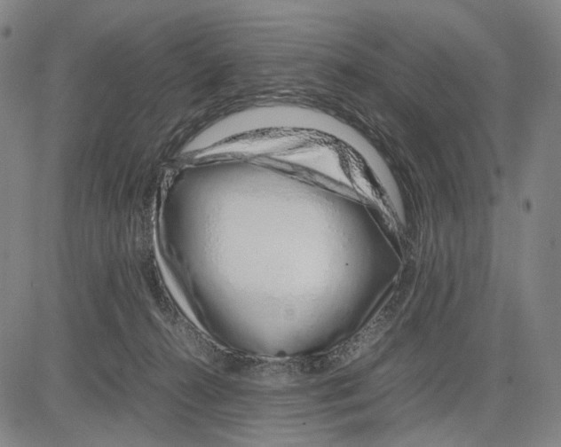 X0000083660272200703121819