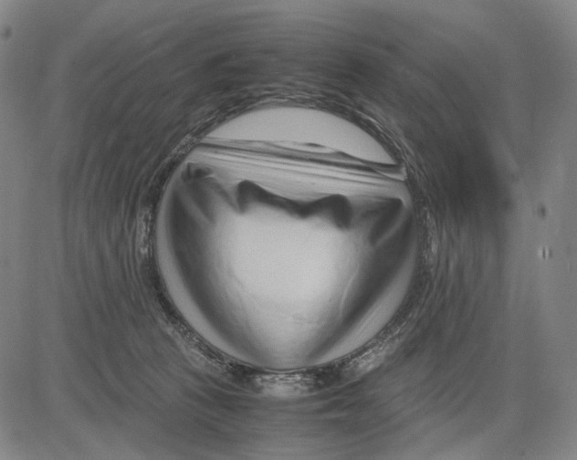 X0000083660273200703121819