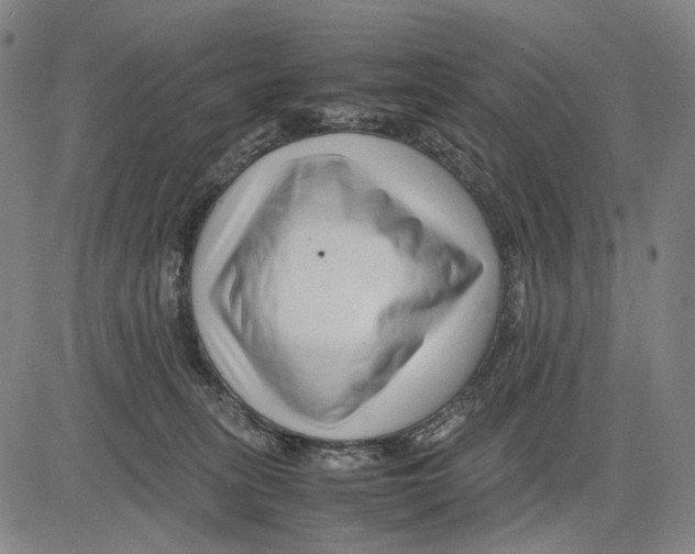 X0000083660275200703121819