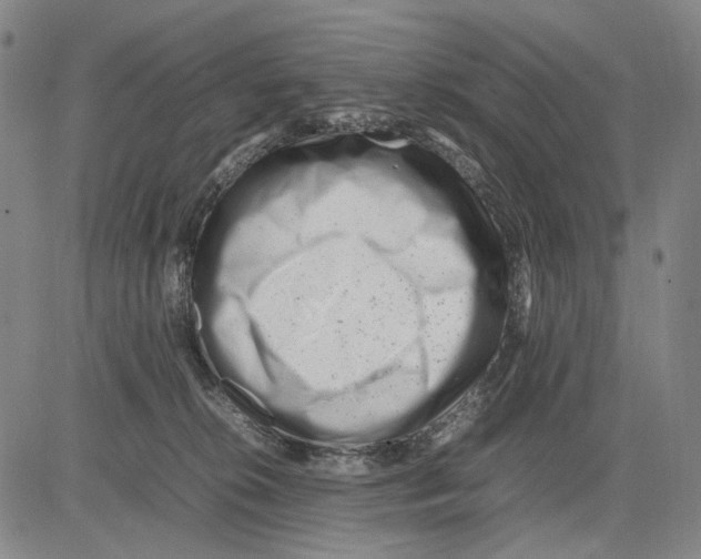 X0000083660276200703121819