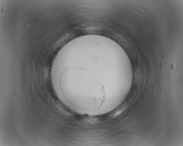 X0000083660278200703121819