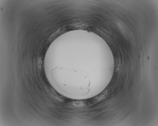 X0000083660279200703121819