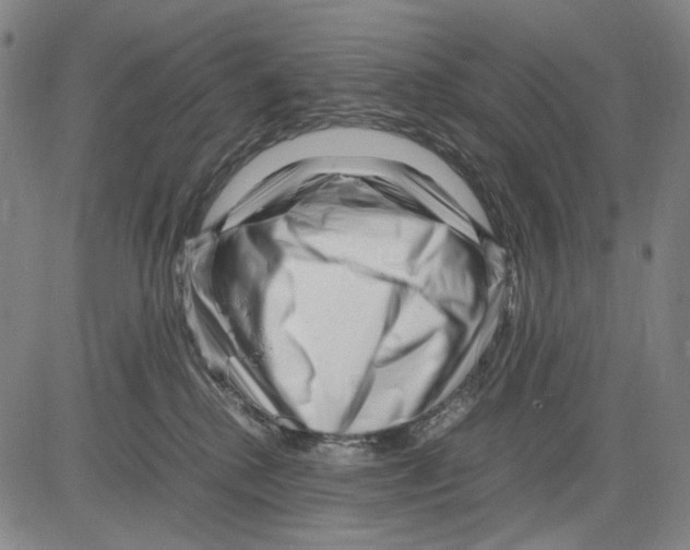 X0000083660280200703121819