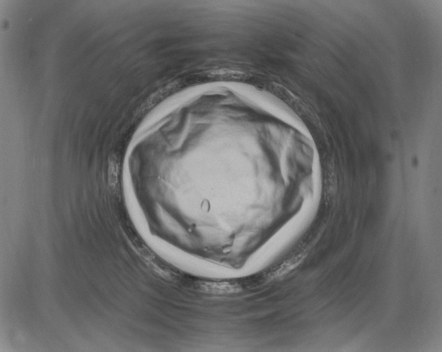 X0000083660281200703121819