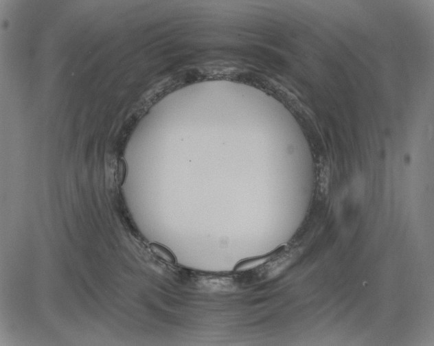 X0000083660283200703121819