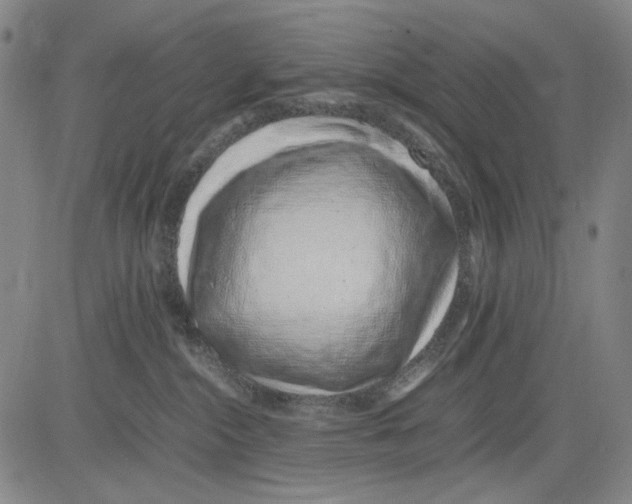 X0000083660284200703121819