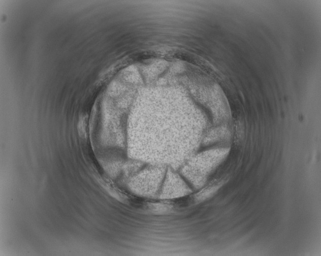 X0000083660286200703121819