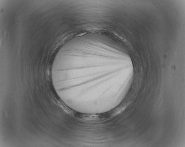 X0000083660288200703121819