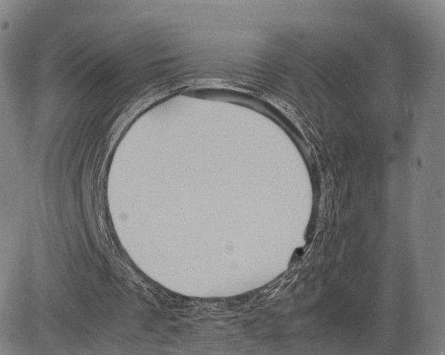 X0000083660289200703121819