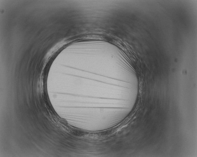 X0000083660294200703121818