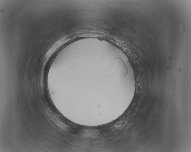 X0000083660296200703121818