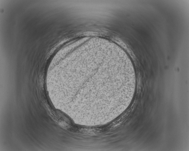 X0000083660297200703121818