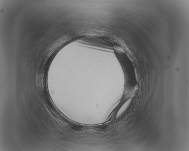 X0000083660299200703121818