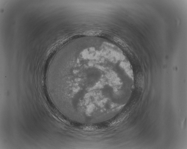 X0000083660303200703121818