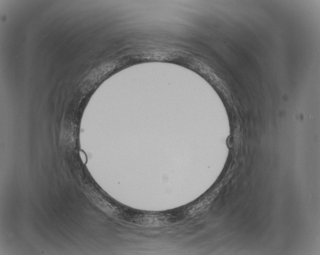 X0000083660305200703121818