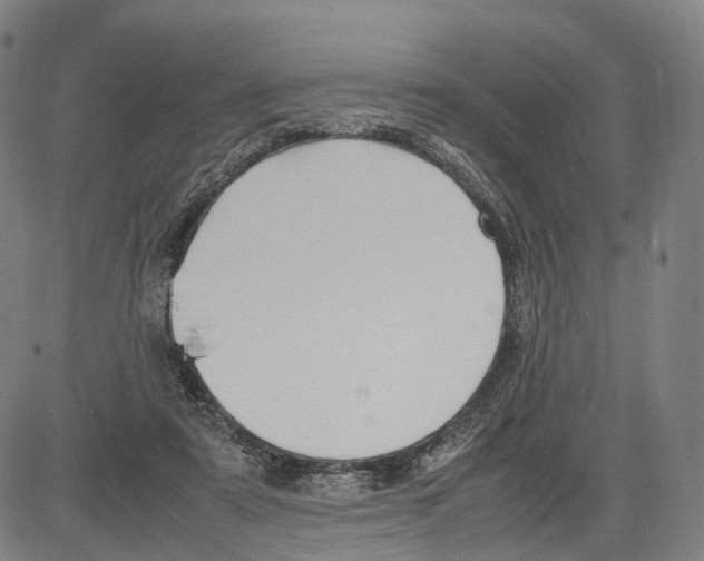 X0000083660307200703121818