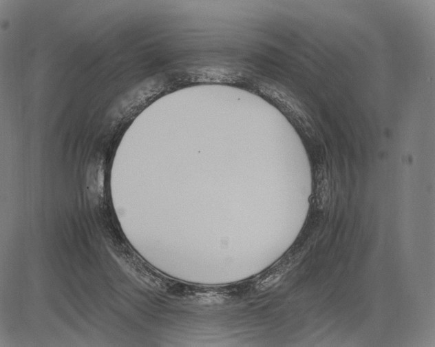 X0000083660310200703121818