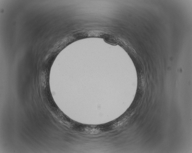 X0000083660311200703121818