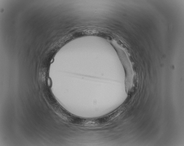 X0000083660315200703121818