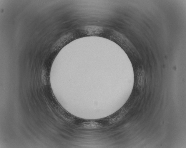 X0000083660316200703121818