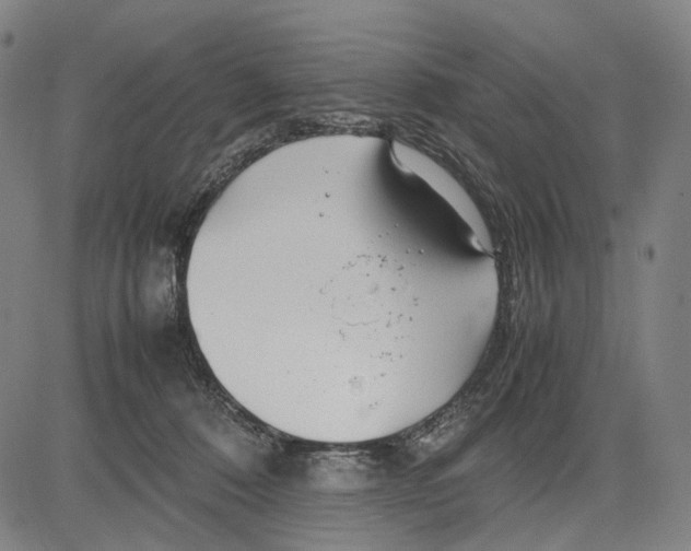 X0000083660320200703121818