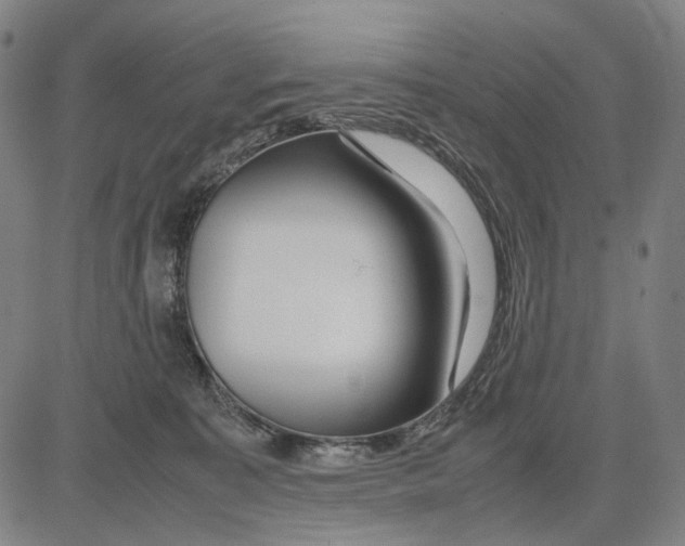 X0000083660323200703121818