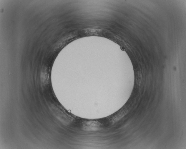 X0000083660324200703121818