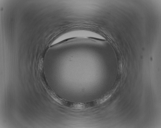 X0000083660325200703121818