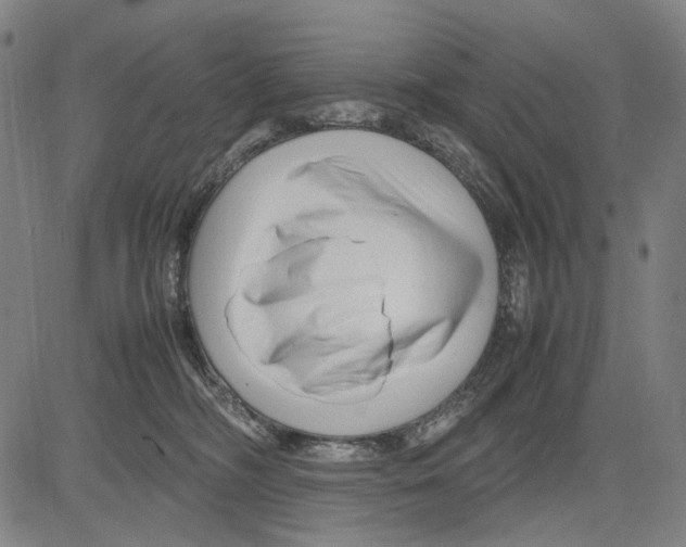 X0000083660326200703121818