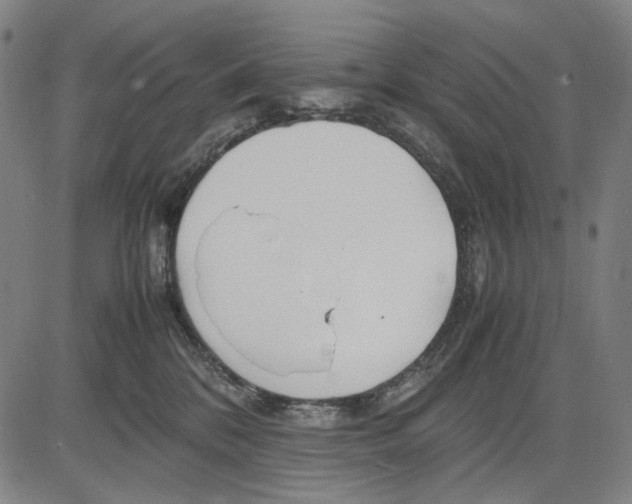 X0000083660328200703121818