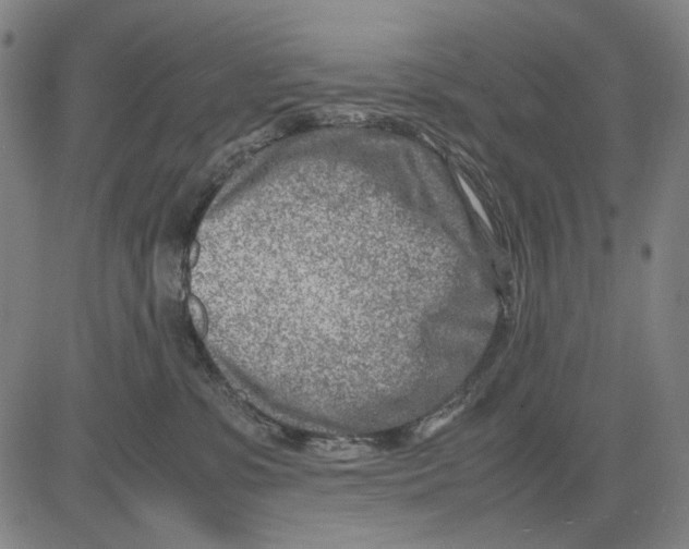 X0000083660331200703121818