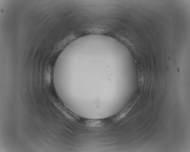 X0000083660334200703121818