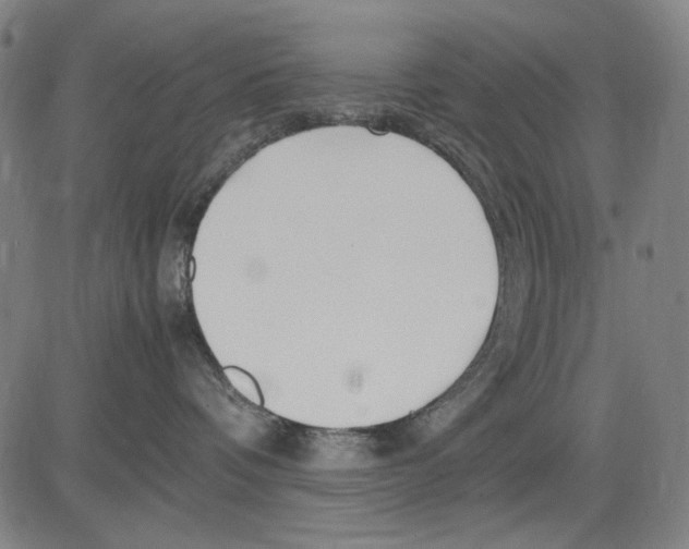 X0000083660336200703121818