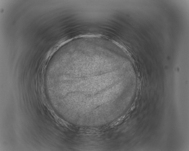 X0000083660337200703121817