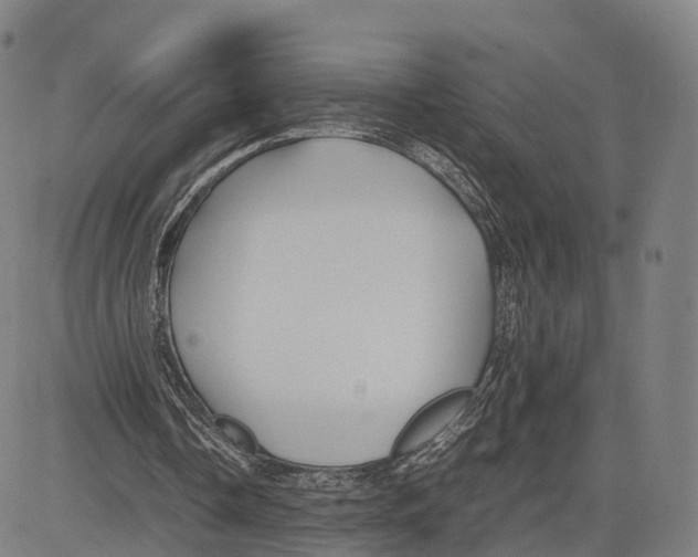 X0000083660338200703121817